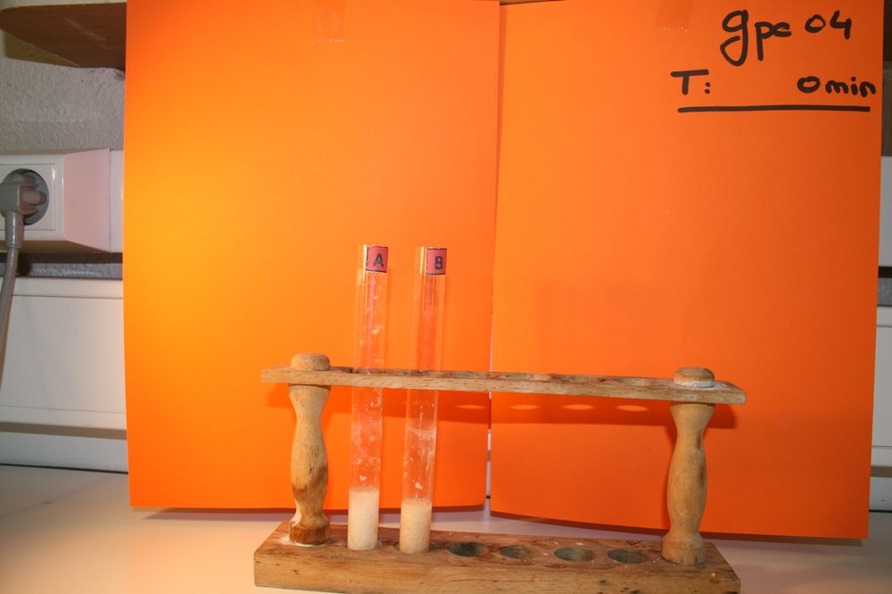 gal/LES_CINQUIEMES/ACTIVITE DIGESTION IN VITRO/Groupe_04/Groupe04_T_00h00min/Groupe04_T_00h_00min_2.JPG